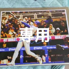 Item thumbnail for item 2eaa78ba-c4e4-4319-9cf8-66aa781dca19