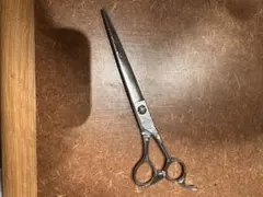 Item thumbnail for item cc92ae7a-98fe-48f5-bad1-55644fadd848