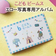 2026最新⭐︎ たまひよ×こどもビームス　コラボ限定⭐︎エコー写真アルバム　ベビーのサムネイル
