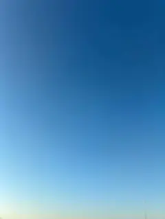 ひらたくん様専用ページです