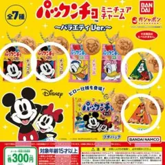 ディズニーパックンチョ ミニチュアチャーム4点セット