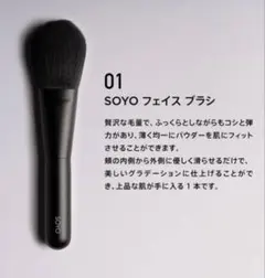 SOYO 美顔器 小田切ヒロ - メルカリ