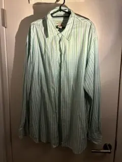 Polo Jeans Co. 緑と青のストライプ長袖シャツ M