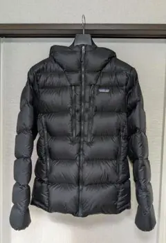 2026年最新】パタゴニア フィッツロイ フーディの人気アイテム - メルカリ