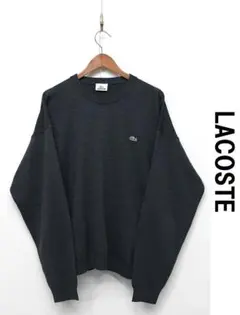2026年最新】LACOSTE カラー：ブルー系 メンズ ニット・セーターの人気 