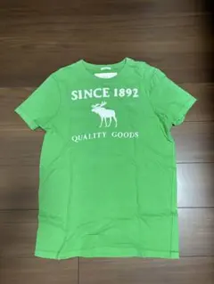 【夏物最終処分価格】アバクロTシャツ Mサイズ