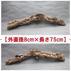 B113 ポルトガル産 キャノンコルク コルク樹皮 コルク板　バージンコルク B113 ポルトガル産 キャノンコルク コルク樹皮 コルク板 バージン