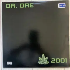 2026年最新】Dr. Dre 2001の人気アイテム - メルカリ