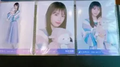 乃木坂46 井上和 真夏の全国ツアー2026 北海道バージョン 生写真コンプ