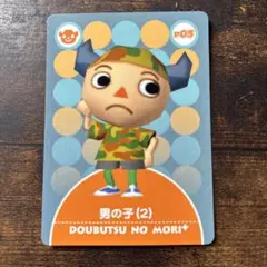 どうぶつの森eプラス ゲームカード　男の子（2）