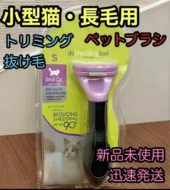 Item thumbnail for item 2c869bd1-61f7-4bbd-814e-e71432cc9f8f