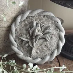 2025年最新】セメントガーデンの人気アイテム - メルカリ