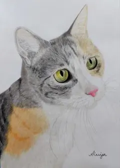 絵画 アクリル画 手描き 原画 猫の絵 猫の絵画ドローイング - メルカリ