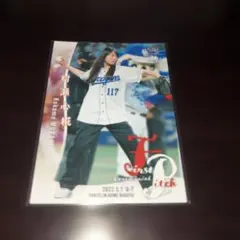 Item thumbnail for item 3417fd7d-fa4f-4efa-8fae-0d5f02662a10