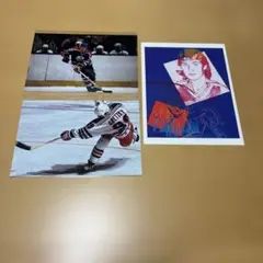 アンディ・ウォーホル ウェイン グレツキー ビジュアル カード