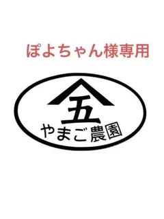 28ぽよちゃん様専用