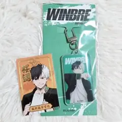 WIND BREAKER　ウィンドブレイカー　桜遥　 韓国　ポップアップ　特典