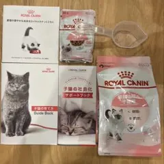 ロイヤルカナン 子猫用 キトンWキット 2個セット