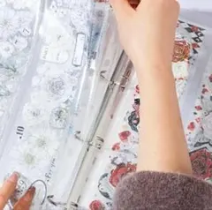 PETテープ収納ファイル✨　リングファイル　リフィル50枚　a4ワイド　両面収納