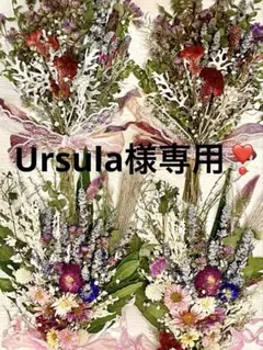 Item thumbnail for item b903e15c-79b2-41c6-9bb1-67a3a7536558