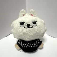 TXT プルバトゥ　ヨンモン　プルオーバー 模様編み　黒① スビン