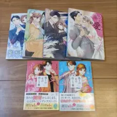 いつわりの愛　小説コミックセットのサムネイル