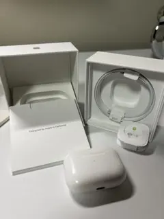 ファル様専用 Apple AirPods Pro第1世代　【正規品】