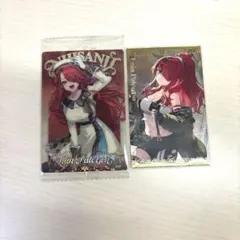 【15日までの出品】エデン組 レインパターソン 2枚セット