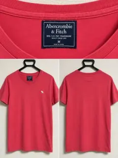 Abercrombie & Fitch Vネック Tシャツ レッド M