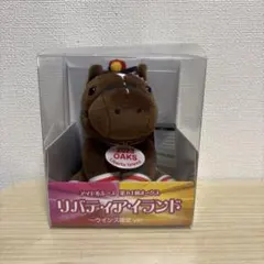 アイドルホース リバティアイランド 第84回オークス ウインズ限定