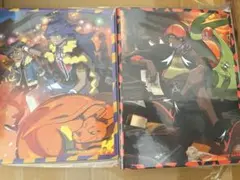 トレーナーカードコレクション　キバナの不屈 ダンデの助言