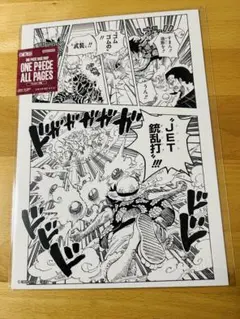 ONE PIECE オールページ　ドフラミンゴ ルフィ