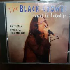 Item thumbnail for item 2cabfb3e-f6a9-4753-8788-586cf8885ba1