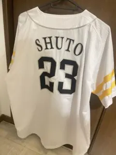 Item thumbnail for item 4d74c4a7-d414-423f-b664-524b70d962e9