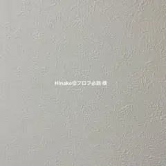 Hinako＠プロフ必読 様