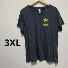 【美品】 DISTRICT デザイン　Tシャツ 3XL ダークグレー