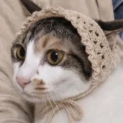 犬 猫 ペット用 バブーシュカ ネコーシュカ イヌーシュカ