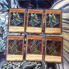 遊戯王　捕食植物オフリススコーピオ　ダーリングコブラ　各3枚