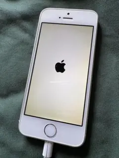 【16GB】iPhone 5S シルバーdocomo 中古