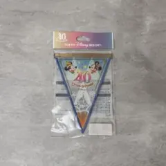 ディズニー40周年のバッジ