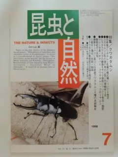 【宍戸政紀】雌雄モザイク ヘラクレスオオカブト 宍戸政紀様専用】雌雄モザイク ヘラクレスオオカブト - メルカリ