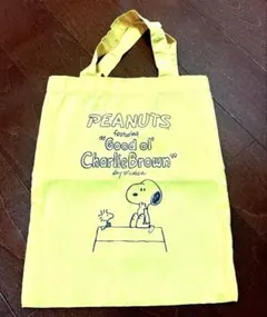 スヌーピー小物入れバックand小物入れ雑誌付録品