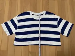 ZARA ストライプ クロップド Tシャツ S