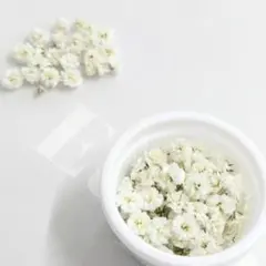 kuu♡coco プロフ見てね♡様 リクエスト 2点 まとめ商品