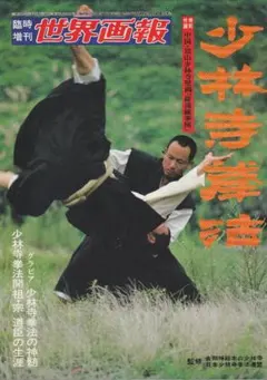 DVD 少林寺拳法 2 その技法と教え 即購入大歓迎 - メルカリ