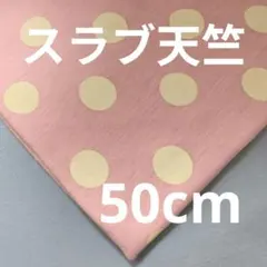 【薄地】スラブ天竺ニット ピンク ドット 50cm ①