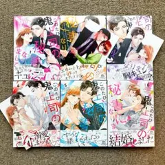【美品・全巻】このたび鬼上司の秘書になりまして　全6巻　でじおとでじこレッド