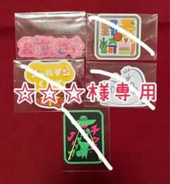 ☆☆☆様専用ページ