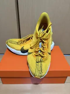 NIKEペガサスプラス２６cm