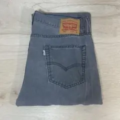 デニムペインターパンツ